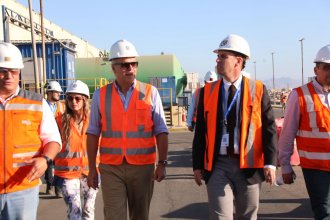 WhatsApp Image 2026-03-14 at 20.09.46.jpeg